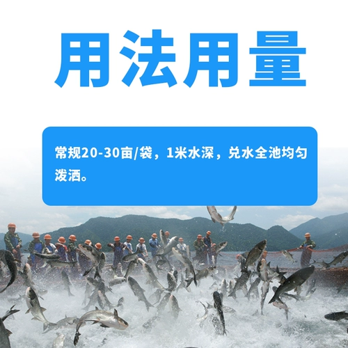 Водные водоросли водорослей водоросли гидросоковые водоросли регулируют рыб, креветки и крабов.