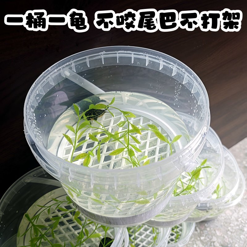 龟苗饲养桶养龟盒养龟专用缸小乌龟带苗透明桶带隔板底漏乌龟盒,淘宝优惠券,粉丝福利购,淘宝优惠卷