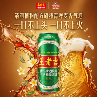 王老吉X青岛啤酒款凉茶490ml*12