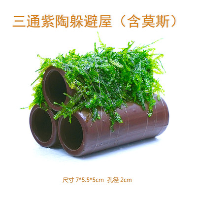 虾屋莫斯虾窝水族孵化罐小鱼躲避洞水晶虾躲避屋 虎窝淘