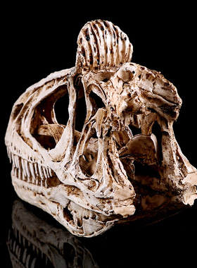 冰脊龙头骨树脂工艺品