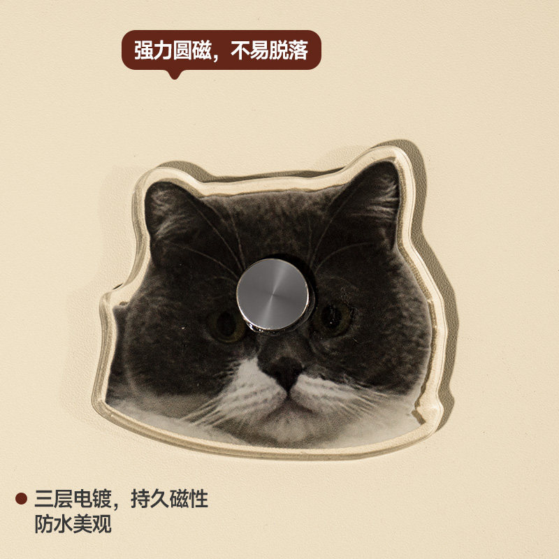 宠物旋转冰箱贴定制亚克力照片磁吸宝宝摆件diy猫咪狗狗图案定做,淘宝优惠券,粉丝福利购,淘宝优惠卷