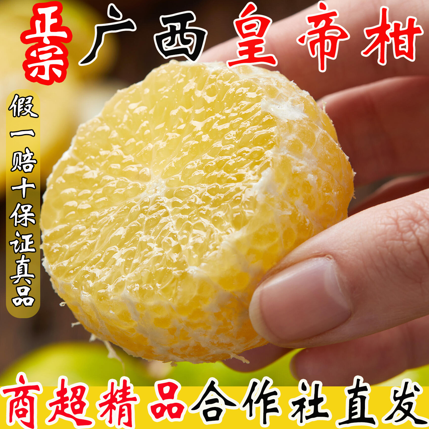 2025广西皇帝柑大果当季10斤新鲜贡柑橘桔子水果时令整箱蜜桔现摘 - 图3