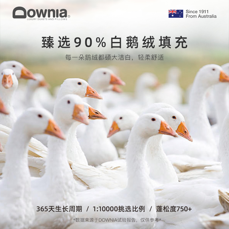 DOWNIA五星级酒店羽绒枕 全棉90白鹅绒护颈枕芯枕头单人 - 图0