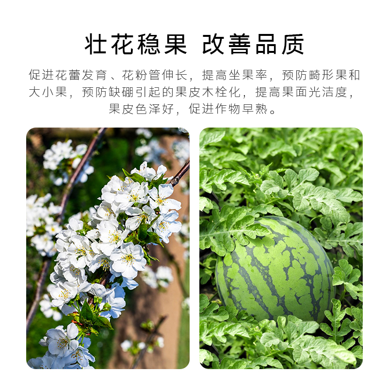 杜高速溶硼肥叶面肥农用保花保果蔬菜果树微量元素水溶肥料冲施肥-图2