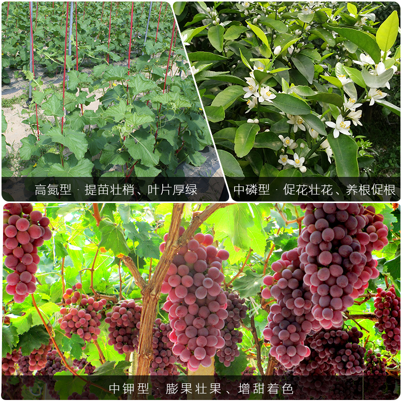 杜高大量元素水溶肥料高氮高磷高钾型氮磷钾肥冲施肥正品复合肥料 - 图3