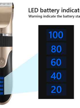 Professional Hair Clipper Men's Barber Beard Trimmer Recharg