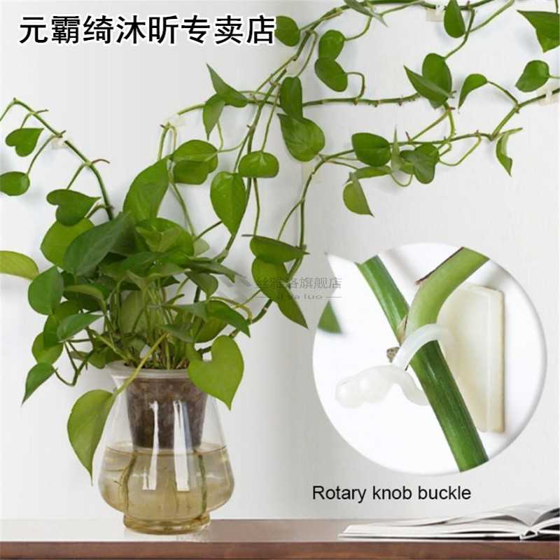 100PCS Garden Vegetable Plant Support Binding Clip Vine Plan - 图1