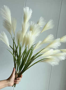 绿植隔断套装花槽售楼部塑料餐厅