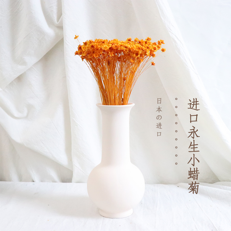 小蜡菊永生花diy材料干花小花束家居插花文艺小清新雏菊装饰软装 - 图1