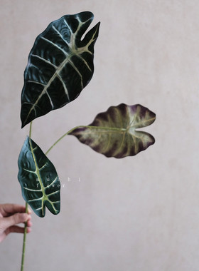 ins风海芋叶仿真花客厅插花装饰