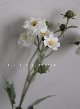 白色精致玛丽安雏菊仿真花