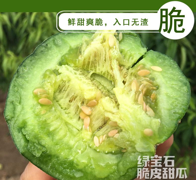 绿宝石脆皮甜瓜头茬瓜牛奶灌溉高甜自然熟香甜脆多汁现摘现发水果 - 图0