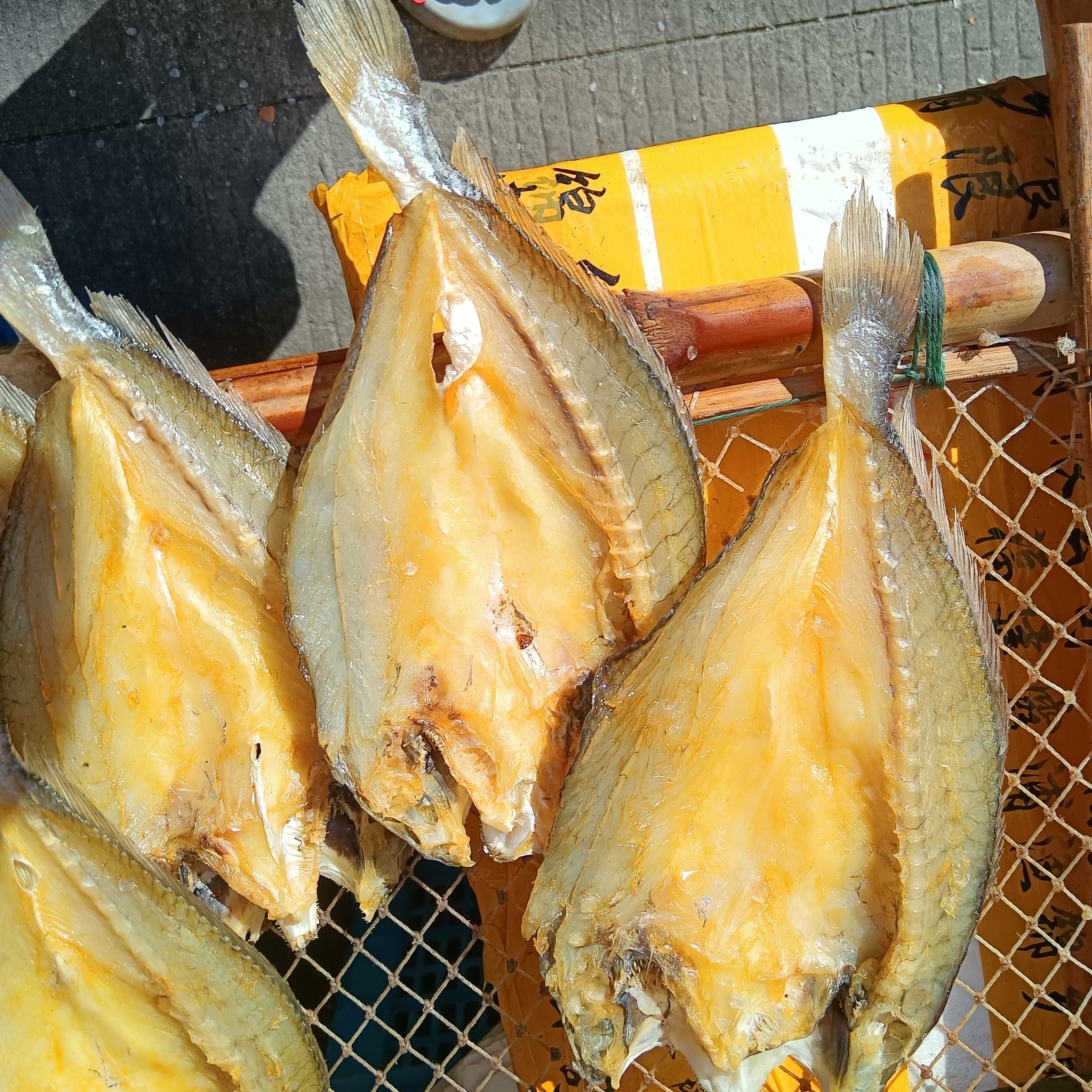 温州特产瑞安东山黄鱼鲞黄花鱼海鱼海鲜干货鱼鲞咸鱼,淘宝优惠券,粉丝福利购,淘宝优惠卷