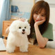 Korean Bichon Frise Puppy Simulation Dog Toy Ornaments