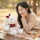 Genuine Autumn Manduo Bunny Doll Cute Doll Plush Toy Soothing Rag Doll Children's Birthday Gift for Women