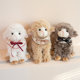 Cute Lamb Beibei Doll Doll Plush Toy Soothing and Playing Bed Pillow Rag Doll Birthday Gift