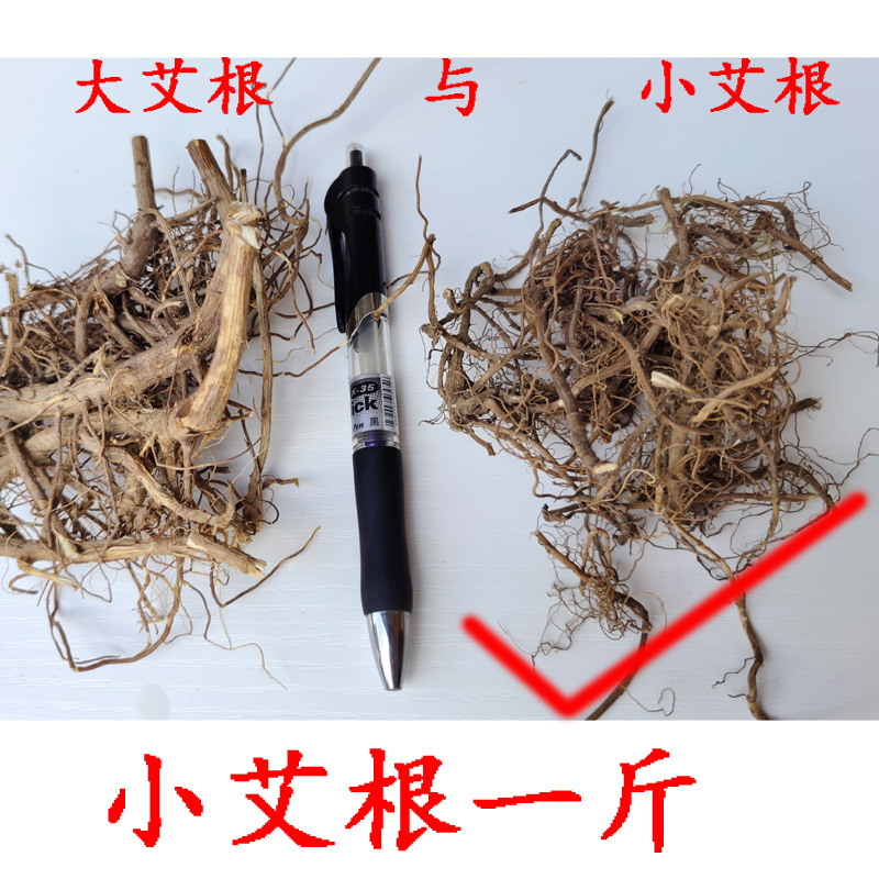 野生艾根 艾草头 小叶艾叶根广西老艾草根客家煲汤不熏硫磺农产品