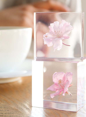 日本樱花收藏匠心手制永生花