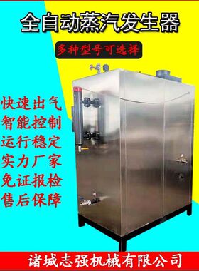 大型煮粽子通蒸汽锅炉 服装厂熨烫蒸汽机 大棚燃油燃气蒸汽发生器