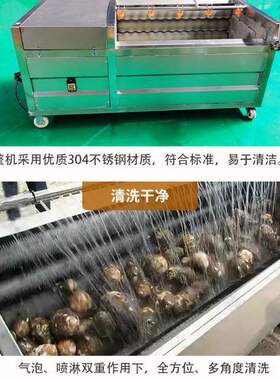 木薯清洗机 椰枣清洗机商用毛刷去鱼鳞 食品厂用毛刷自动清洗机