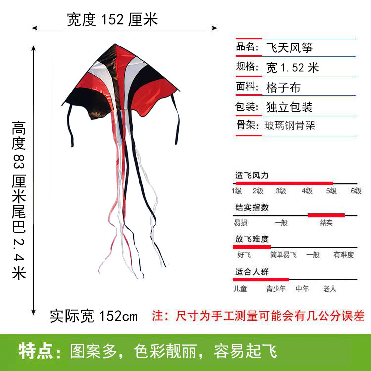 大小飞天风筝新款厂家直销成人大型儿童七彩凤凰风筝炫彩2023kite - 图0