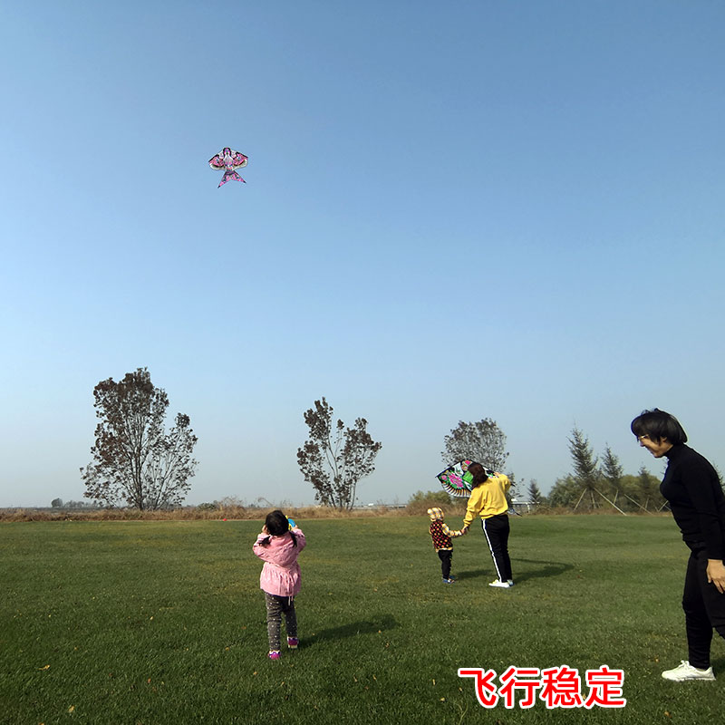 潍坊风筝沙燕子金鱼大型户外风筝展览公园超市装饰中国传统风筝节-图2