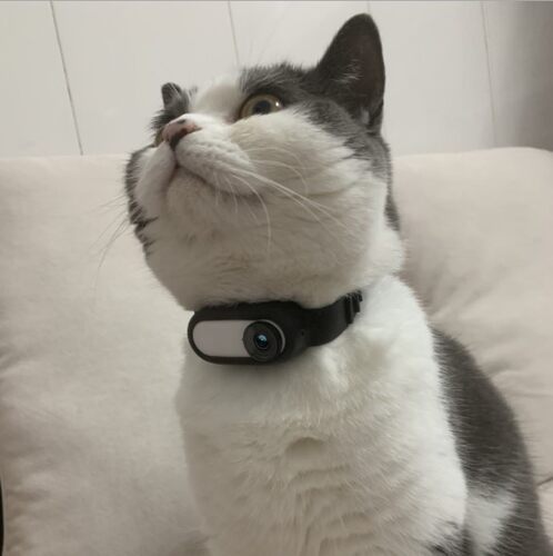 Sunnylife Insta360 GO2 GO3扎带硅胶套腕带单车绑带相机拓展配件 - 图2