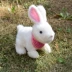Đồ chơi Hàn Quốc chính hãng Rabbi Rabbit Pet Pet Rabbit Rabbit House House Xiaoyan Toy Girl Birthday Gift - Đồ chơi gia đình