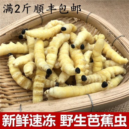 蝇蛆 新人首单立减十元 21年7月 淘宝海外 蝇蛆 新人首单立减十元 21年7月 淘宝海外