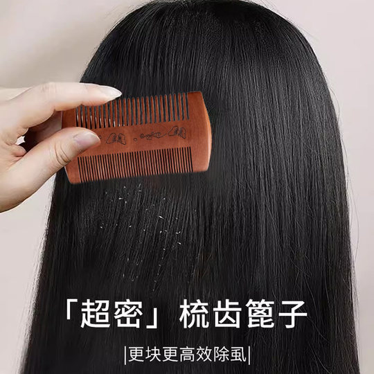 Läuse ultradichter Zahnschaber, verschlüsselter Holzkamm, Gitterkamm