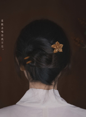 双钗发簪檀木古风盘发头饰木簪子