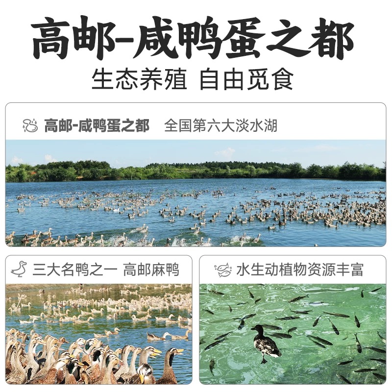 高邮咸鸭蛋正宗流油整箱非海鸭蛋咸鸭蛋端午送礼盒官方旗舰店正品