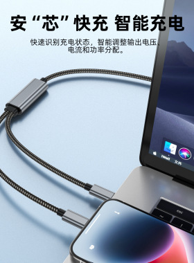 Type-C一拖二PD100W快充线通用