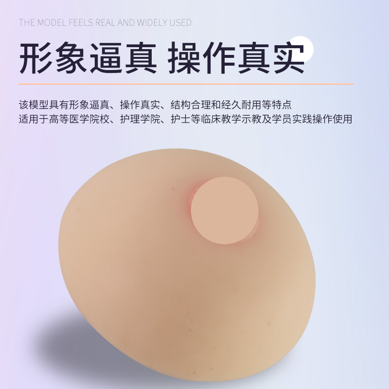 母乳哺乳教学催乳师培训教具纯硅胶乳房模型 高级仿真女性假乳房 - 图2