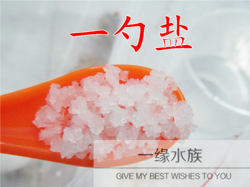 寄居蟹宠物活体专用天然日晒钙海盐消毒补充微元素50G/份买三送一 - 图0