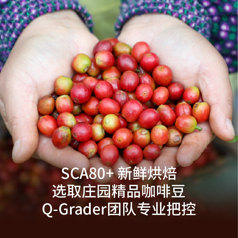 永璞云南威武包金奖挂耳咖啡中度烘焙醇和手冲现磨10g×30包起