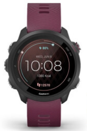 Garmin佳明forerunner245/245M户外运动手表血氧心率GPS跑步腕表-图1