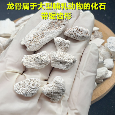 正品五花龙骨500克包邮煅龙骨搭配牡蛎桂枝甘草非壮骨颗粒 - 图1