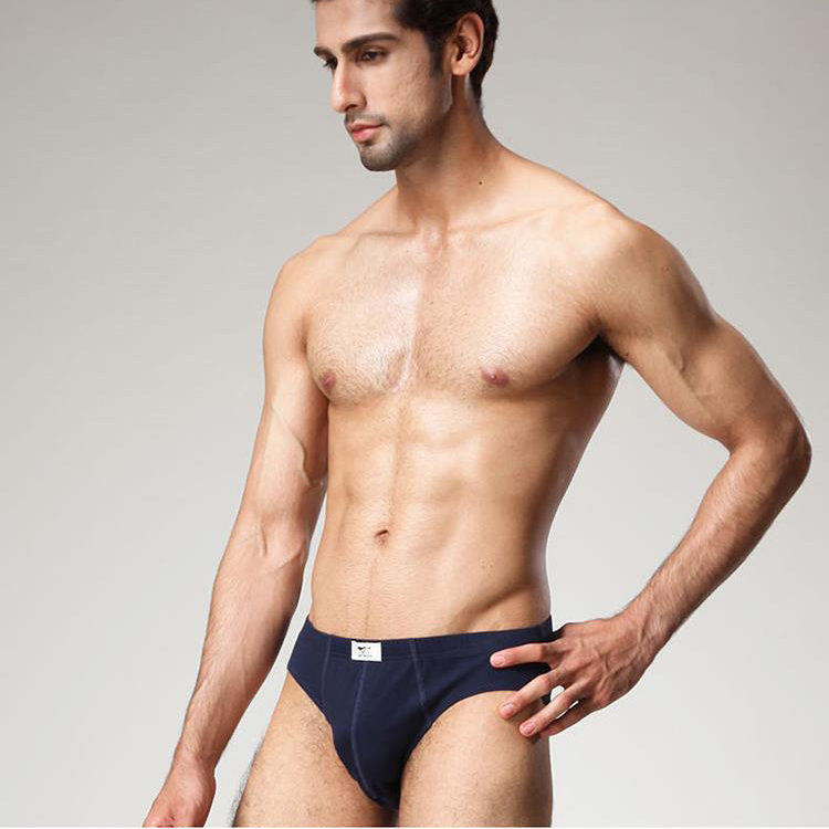 七匹狼男士三角裤纯棉中腰内裤青年四季宽松透气全棉运动三角裤衩,淘宝优惠券,粉丝福利购,淘宝优惠卷