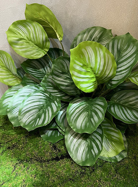 12叉青苹果叶带根须水培长青装饰摆件北欧仿真花绿植插花配叶网红