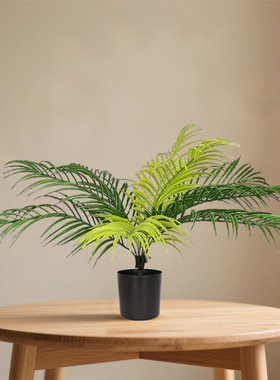 仿真绿植盆栽波斯蕨霸王蕨蕨类盆栽室内客厅装饰摆件仿生植物造景