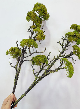 仿真青苔枯树支酒店插花装饰假树干造景陈列摆放花艺茴香树枝