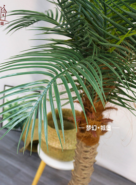 仿真椰子树盆栽商场室内外装饰美化仿真植物盆景热带植物假树