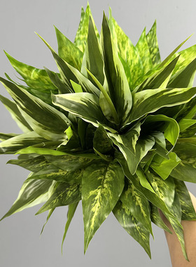高品质仿真植物12叶花点万年青小盆栽摆件办公室装饰人造绿植花卉