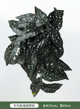 仿真绿植龟背叶洞洞叶壁挂植物墙配件天花板吊顶装饰客厅插花花艺