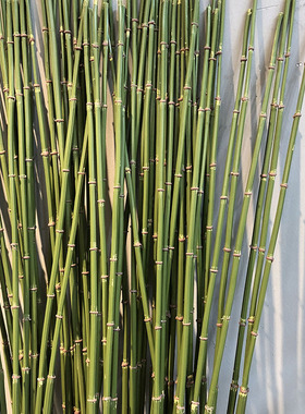 仿真花 木贼 细竹假花植物插花 钢草 线条绿植侘寂风家居装饰