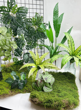 仿真鸟巢蕨植物墙配材小盆景装饰鸟蕨热带雨林铁角蕨酒店造景叶子