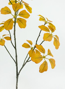 新款中枝观音莲森系仿真绿植婚礼堂装饰地面插花莫奈花园橱窗造景