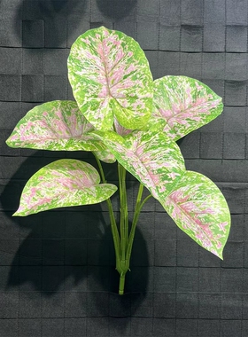 仿真绿植七彩芋带根背景墙橱窗造景植物森系装饰景观海芋叶春芋叶